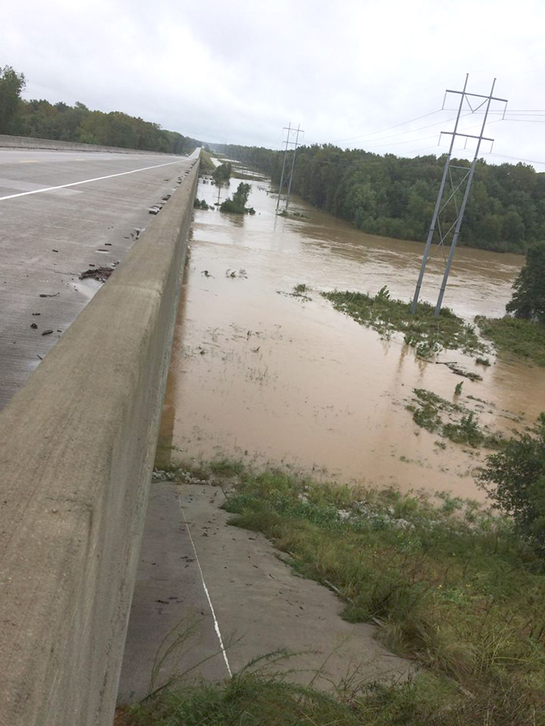Calhoun County-Congaree bridge